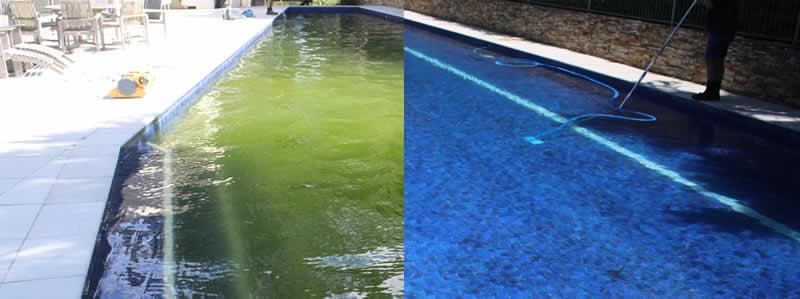 pool gone green what to do