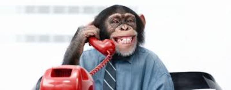 Stop monkeying with our phones