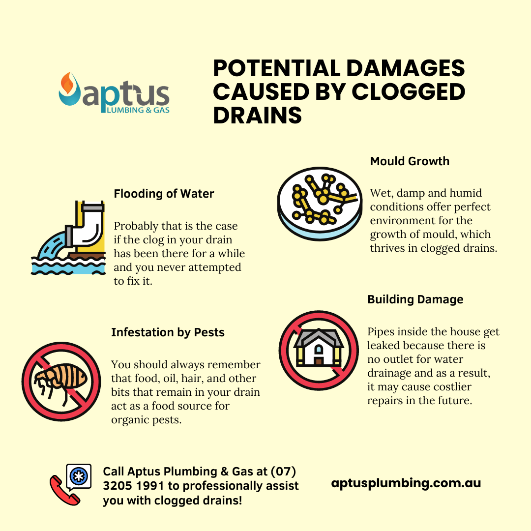 Potential Damages Caused by Clogged Drains