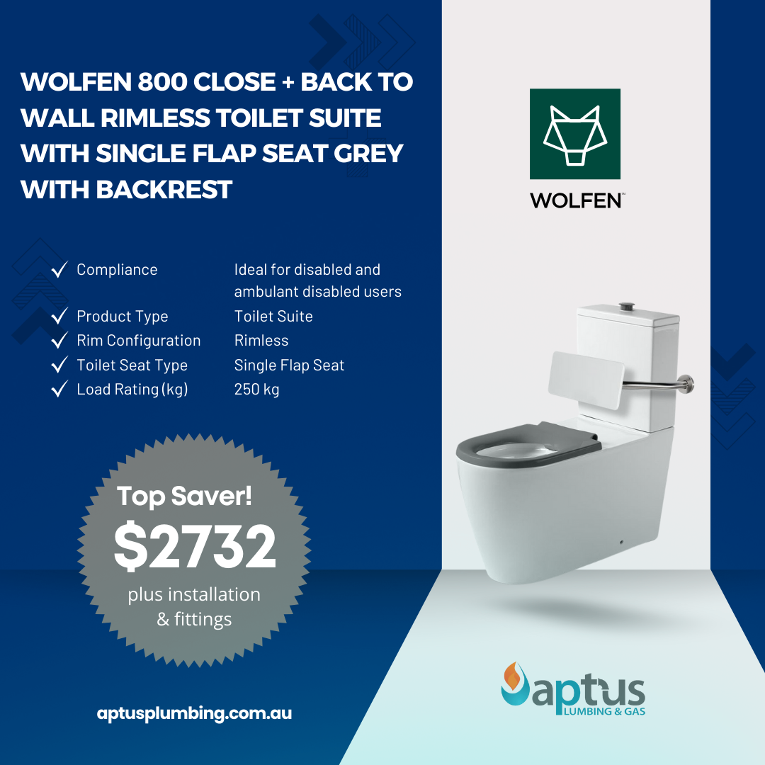 Wolfen 800 Close + Back to Wall Rimless Toilet Suite with Single Flap Seat Grey with Backrest